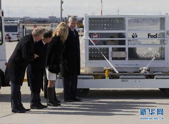 （國際）（2）中國大熊貓抵達加拿大 總理哈珀與夫人親迎